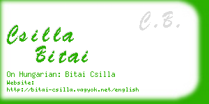 csilla bitai business card